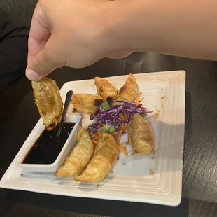 Fried Dumplings (8)