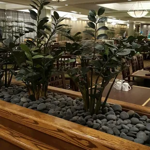 a restaurant with tables and plants in the center