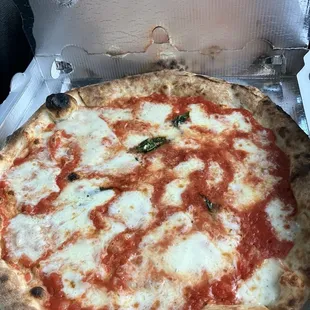 Margherita Pizza