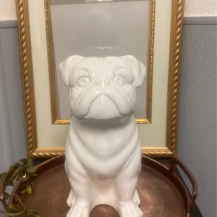 a picture of the bulldog