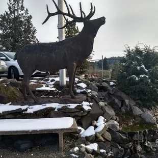 Beautiful deer statue outside