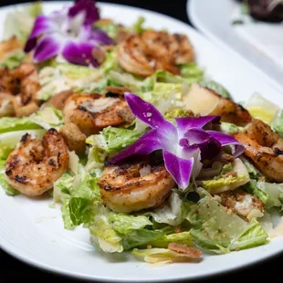 Caesar salad with shrimp