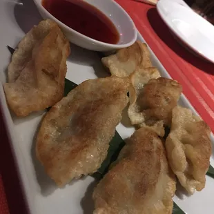 Gyoza