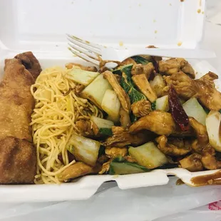 Schezwan chicken with noodles and spring roll / Lunch special