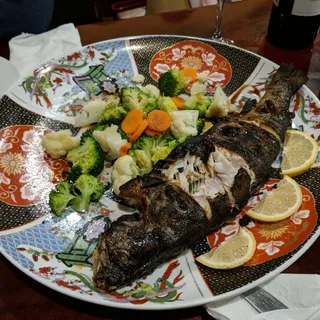 Trout