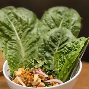 Crispy Rice that you will die for. Mouth explosion of pure deliciousness.