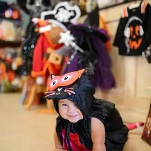 A sweet kitty crawling around at Silly Dilly's.