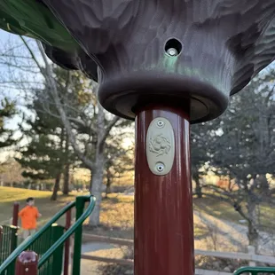 Birds nest with 3 eggs spotted