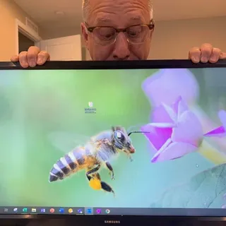 Dan N.