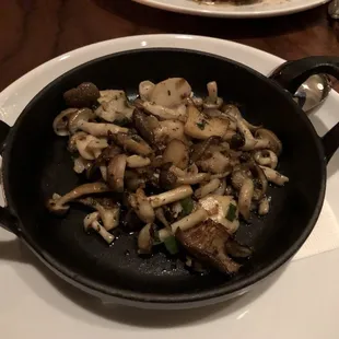 Forest Mushrooms
