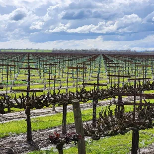 Calm before the storm...