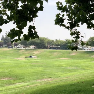 08/23/2020: Open field