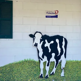 a black and white cow in front of a building