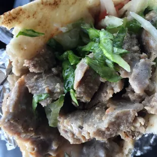 a hand holding a pita