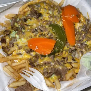 Carne Asada Fries.