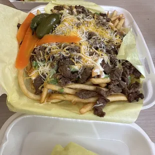 Carne asada fries