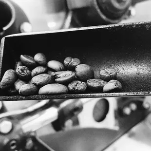 roasting coffee beans