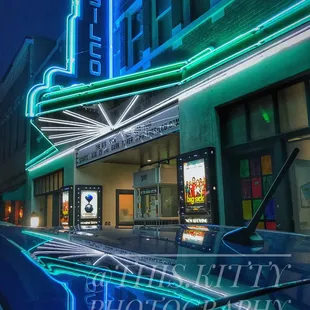 Silco I by @This.Kitty Photography at Silver City Copper Quail