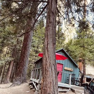 Sleeping in the forest is honestly one of the best experiences, I love it!!!