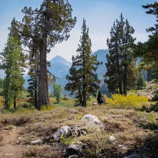 Mineral King Valley just a few miles away