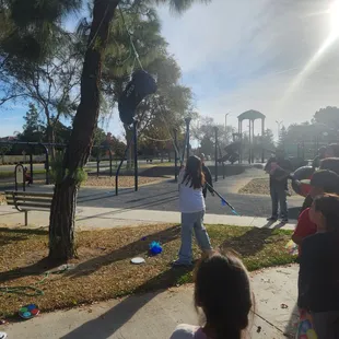 Lots of trees to do a pinata!!!