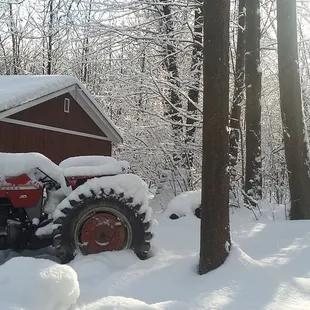 Winter at the Schubert-Ferney Vineyard