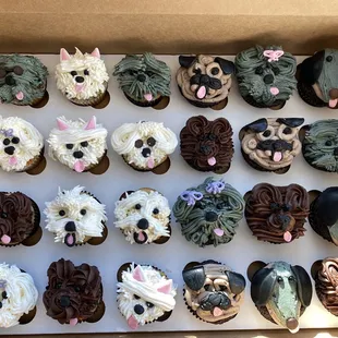 Dog cupcakes!