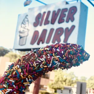 a donut covered in sprinkles