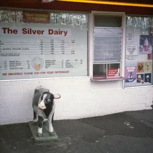 Silver Dairy Circa 1995