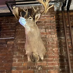 Love the Covid friendly buck mask n all