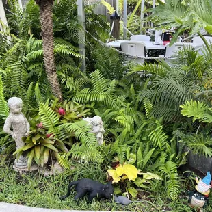 Outdoor area