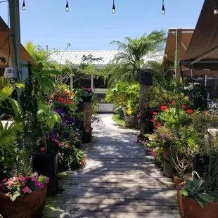 Outdoor seating