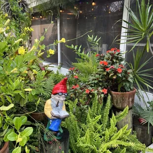 Outdoor area
