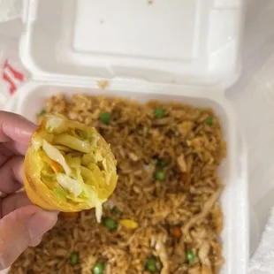 Fresh veggies inside of the Vegetarian Spring Rolls