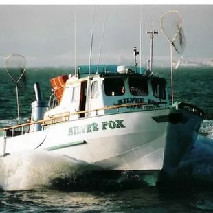 The Silver Fox in full run!