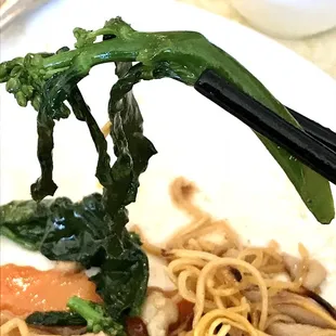 noodle dish, food, noodles, ramen, ramen and noodles, noodle soup