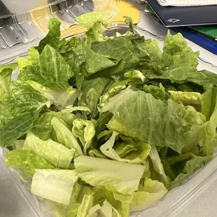 Caesar Salad (no crouton, no cheese, JUST LETTUCE)