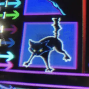 Very Superstitious, Black Cat crossed my path.