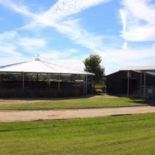 Euro walker and treadmill