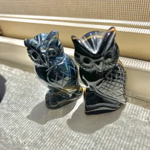 Regular and blue tigers