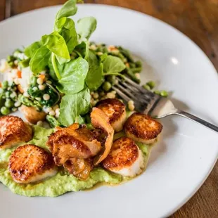 Pan Seared Day Boat Scallops