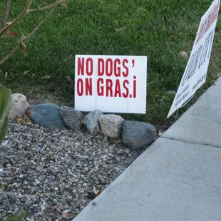 on the edge of the landscaped lot (which had 2 workers manicuring it until dark)