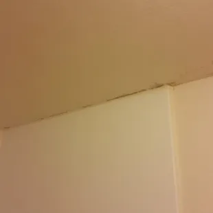 What appears to be mold in the bathroom.