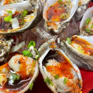 Oysters
