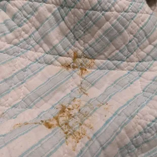 Vomit on master comforter
