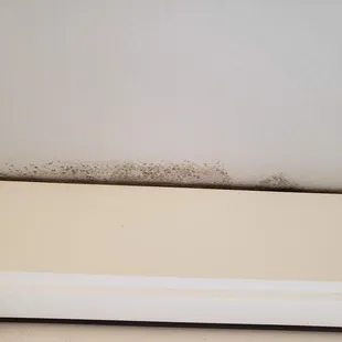mold above kitchen door