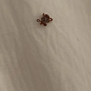 Dead tick