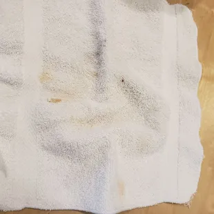 &quot;clean&quot; (supposedly) wash cloth
