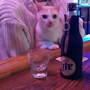 Great place to find pussy!