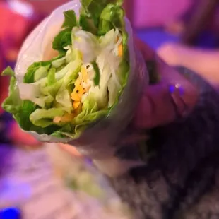 a person holding a salad wrap